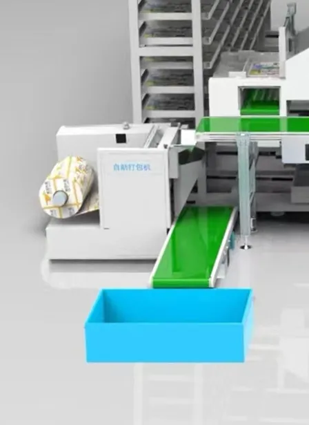 Working Process of Automated Medication Packager